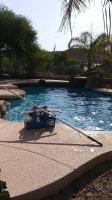 B Picky Pool Cleaning  image 5